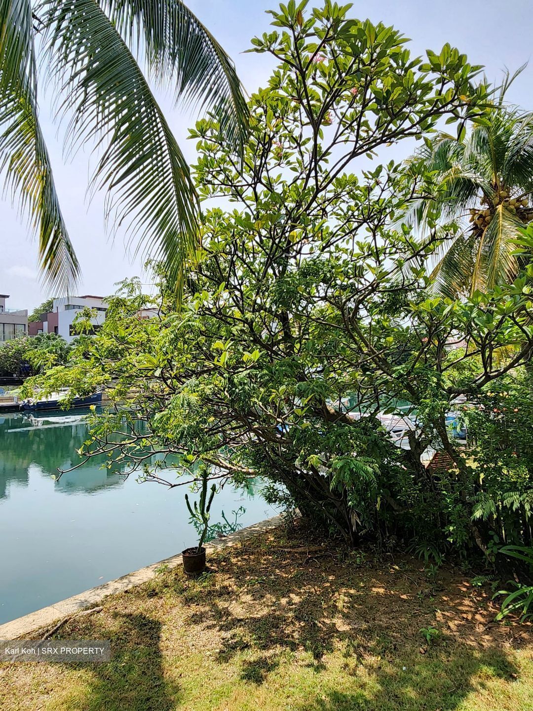 Ocean 8 (D4), Terrace #467736551